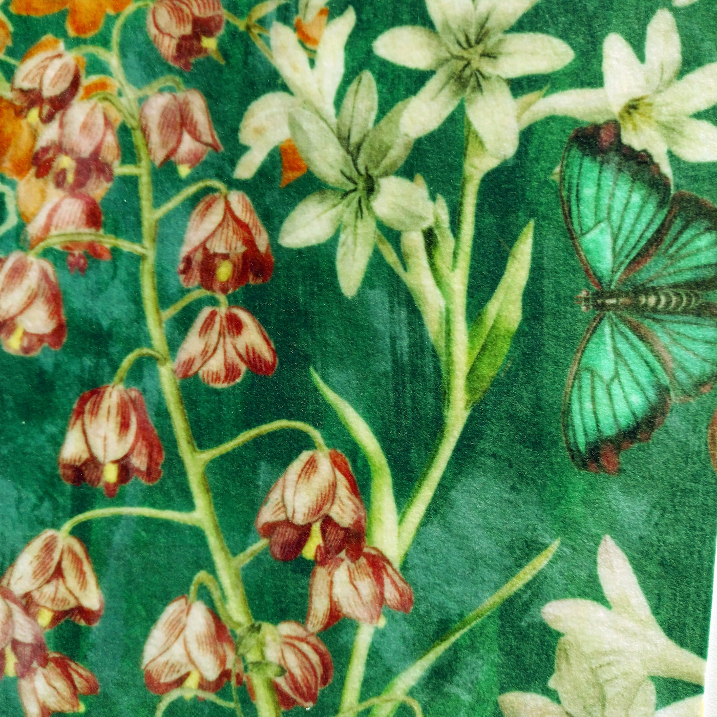 close up of the Meadow Velvet Cushion in Emerald Green, showing the green background velvet, colourful flowers and butterfly